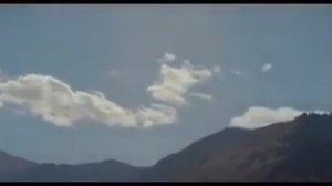 Волк свою свободу не продаст