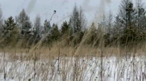 А ЗИМА БУДЕТ БОЛЬШАЯ
