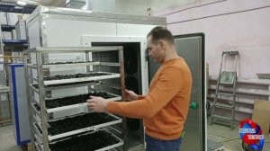 Камера сушки чернослива. Сушим чернослив и рассказываем про динамику сушки с параметрами.