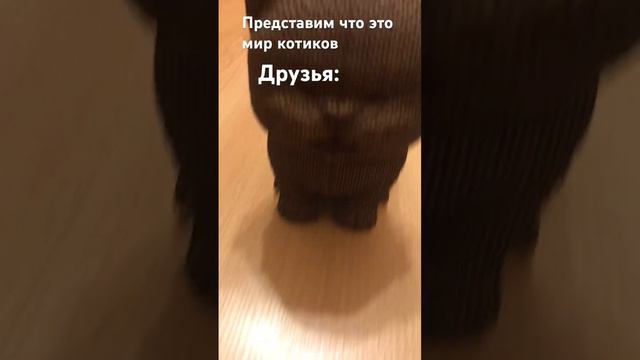 Картонный 3D пазл котики ❤️