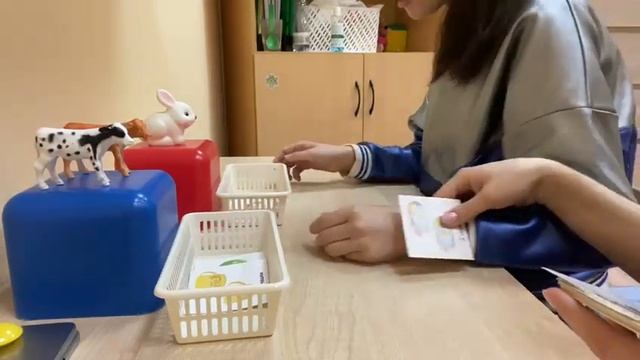 Развитие когнитивных функций смотреть онлайн