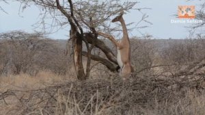 Samburu National Park