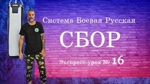 Экспресс-урок № 16 в Системе СБОР «Ударная техника рук для укрепления ССА и мышц плечевого пояса»