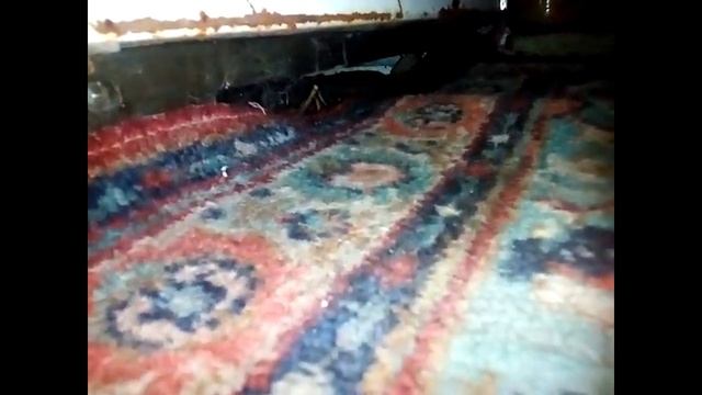 На даче завелись мыши! смотреть онлайн