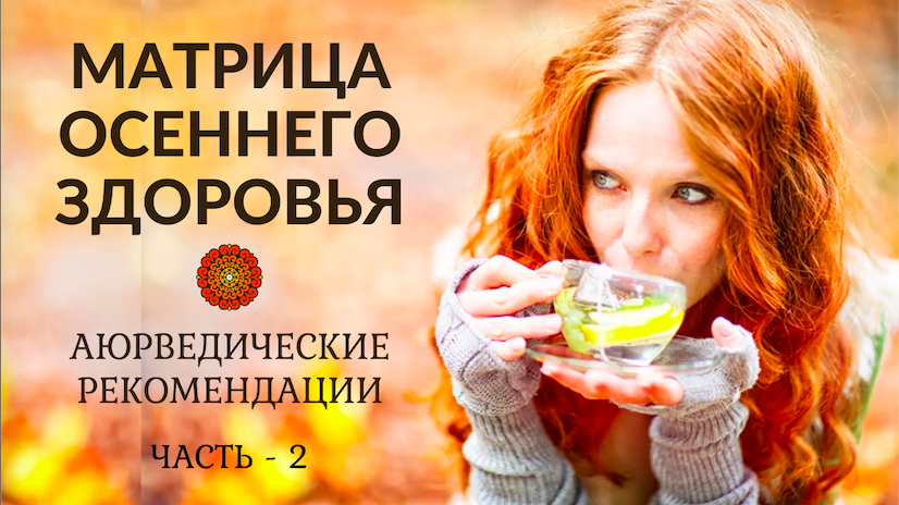 Матрица Осеннего Здоровья. Часть ~ 2. смотреть онлайн