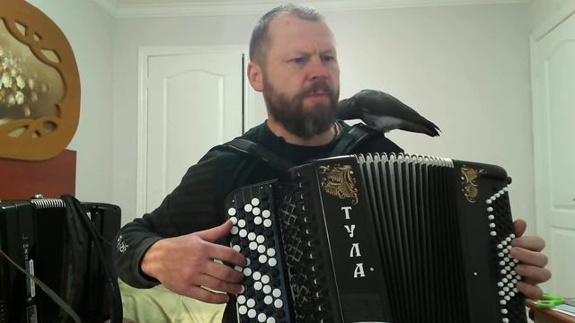 Ноченька лунная смотреть онлайн