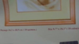 Вышивка крестиком Голуби в Розах Первый отчет))