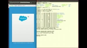 Quick Bytes Episode 7 - Using the MobileCaddy CLI tool