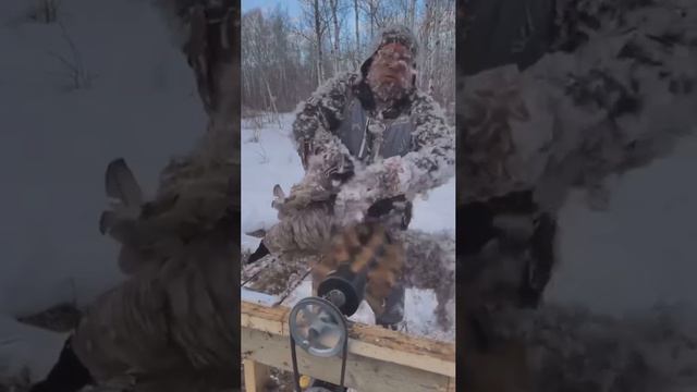 Весь в пуху я🦆😂