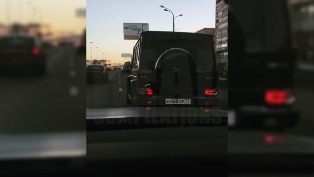 ЖИЗНЬ РОССИЙСКОЙ ЗОЛОТОЙ МОЛОДЕЖИ