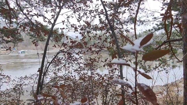 Когда в 2023 году на Алтае расцветёт Маральник смотреть онлайн