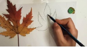 Цвета осени. ТОП 5 техник рисования осенних листьев. Как нарисовать осенние листья