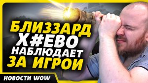 БЛИЗЗАРД Х*ЕВО НАБЛЮДАЕТ ЗА ИГРОЙ НОВОСТИ ВОВ WORLD OF WARCRAFT ДРАГОНФЛАЙ 10.2.7 DRAGONFLIGHT