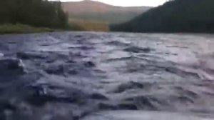 Река Ыллымах. Лодка Абакан 380 jet.