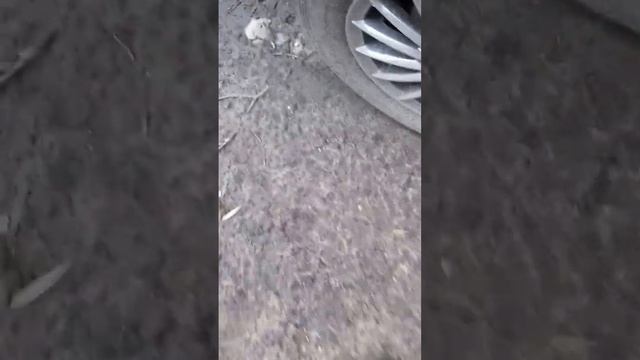 Установка колпачки на литые диски смотреть онлайн