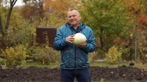 Как ПРАВИЛЬНО убрать и сохранить УРОЖАЙ КАПУСТЫ?