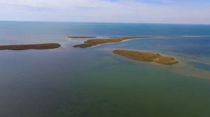 Бердянск 2020 Остров Дзендзик