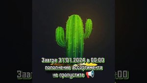Cactus_shop магазин б/у комплектующих
