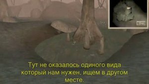 Morrowind. Балмора. Гильдия магов. Грибы для Ажиры.