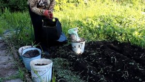 Как подготовить грядку под огурцы, кабачки. Что нужно внести.