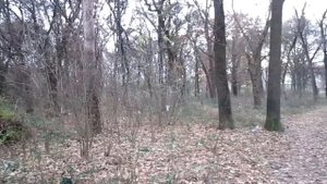 БЕЛАЯ ЦЕРКОВЬ ГАЁК ОСЕНЬ ЧАСТЬ ВТОРАЯ