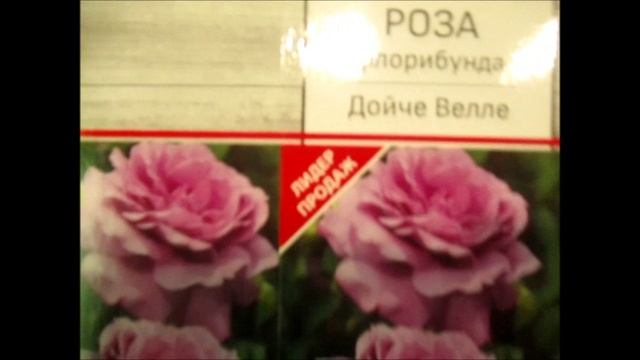 АГРОФИРМА ПОИСК. ОБЗОР ДВУХ ПОСЫЛОК. МОЙ ВЫБОР СОРТОВ .wmv смотреть онлайн