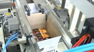 Автоматический укладчик продукции в короб (печенье)