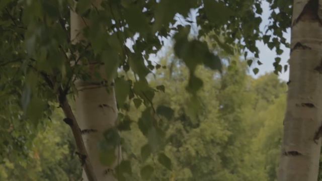 Российская идентичность глазами участников "Балтийского Артека" смотреть онлайн