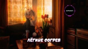 тима ищет свет — дождись