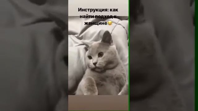 Как задобрить женщину