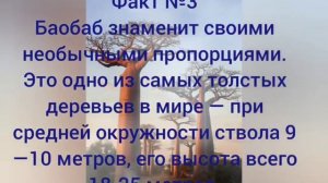 Факты про Баобаб
