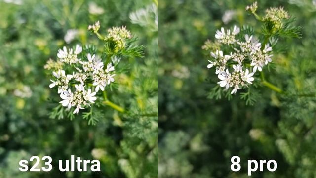 samsung Galaxy s23 ultra vs oppo Reno 8 pro camera test смотреть онлайн