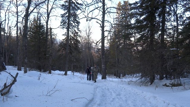 Иремель. К подножию.