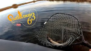 Рыбалка на щуку осенью, ловля щуку из камыша