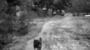 02 - Любительская съемка Унеча, 1986г дом Домотырко Михаила Емельяновича