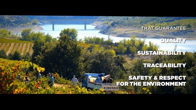 Garnacha/Grenache смотреть онлайн