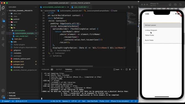 Flutter auto complete widget in depth example with REST API