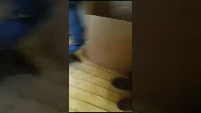 МАМУ ?С ЩЕНКАМИ ВОЛОНТЕРЫ УЖЕ ДОСТАВИЛИ В ТЕПЛЫЙ ВОЛЬЕР.? смотреть онлайн