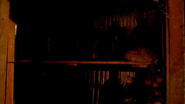 Пчеловодство.на пасеке Уса Андрея. смотреть онлайн