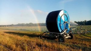 Насосная станция Scova. Полив капусты