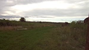 самодельный трактор рабочий момент№4 без базара