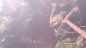 Подводная охота река Шача Ивановская область