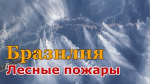 Лесные пожары в Бразилии //Август 2022 г.//