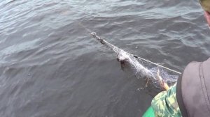 Дядя Толя ловит карасей на секретном озере