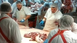 Робота в Німеччині Обвальщик 4 096 734 63 71