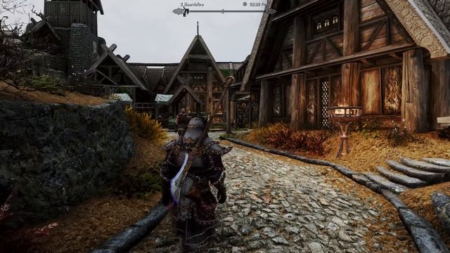 Skyrim с 1800 модами и трассировкой лучей на RTX 4090