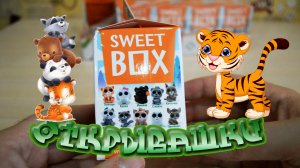 ОТКРЫВАШКИ: Зверята из Sweet Box