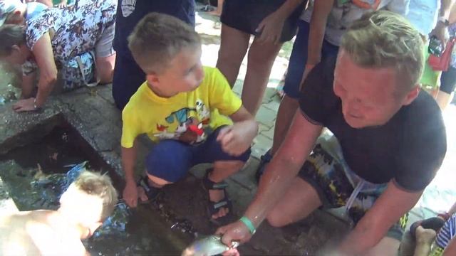 Поездка в Горы / Аквапарк и Бассейн / Обливаемся Водой и Ловим Рыбу Руками / Дети на Море Часть 5 смотреть онлайн