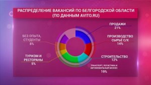 В какой отрасли проще найти работу в Белгороде