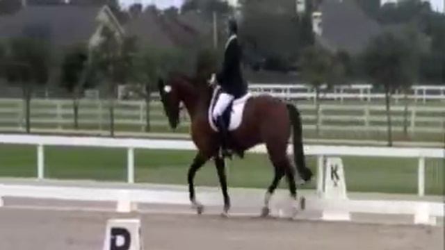 1 3 Region 9 Championships смотреть онлайн